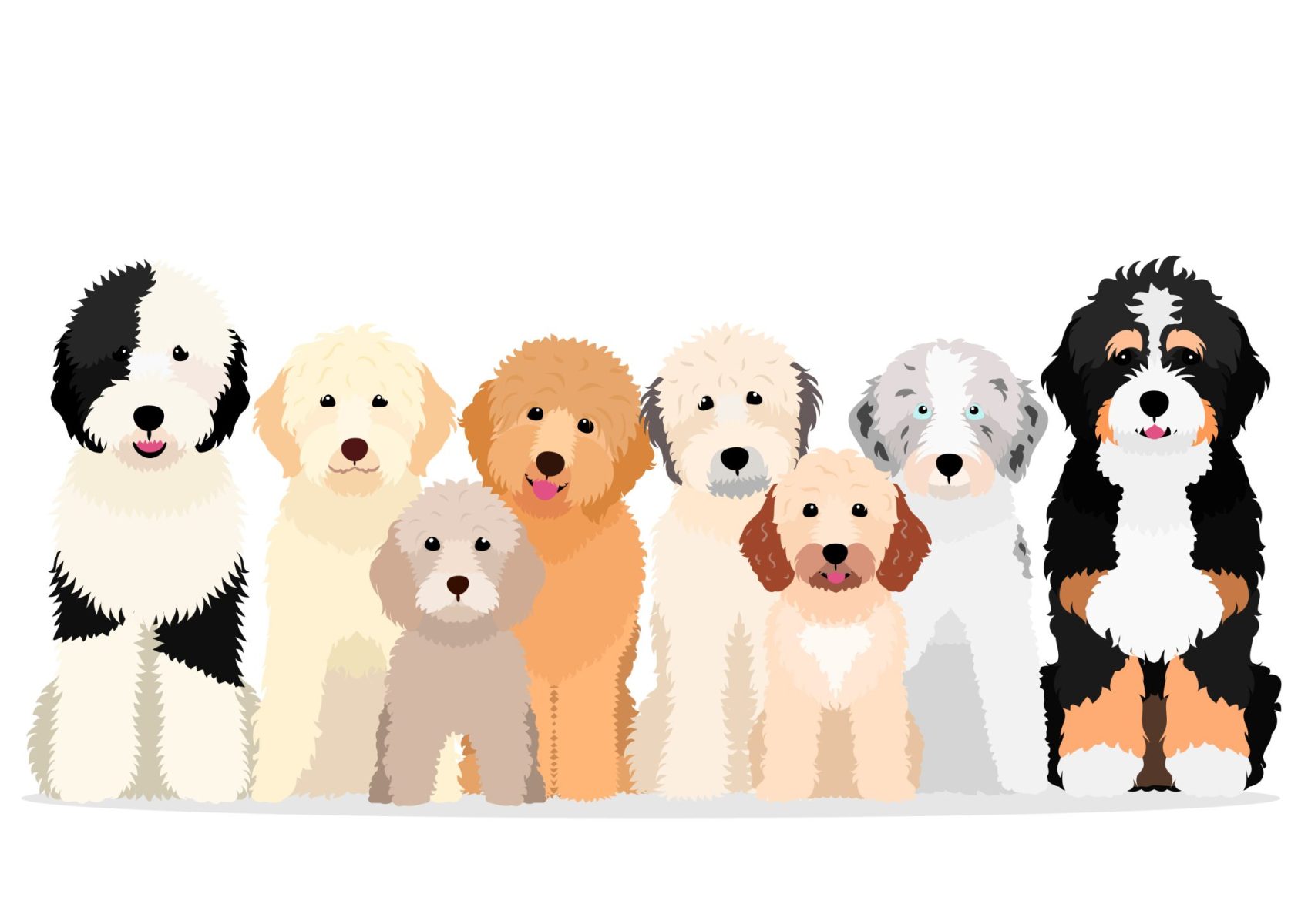 Which Doodle Breed Should I Get? 