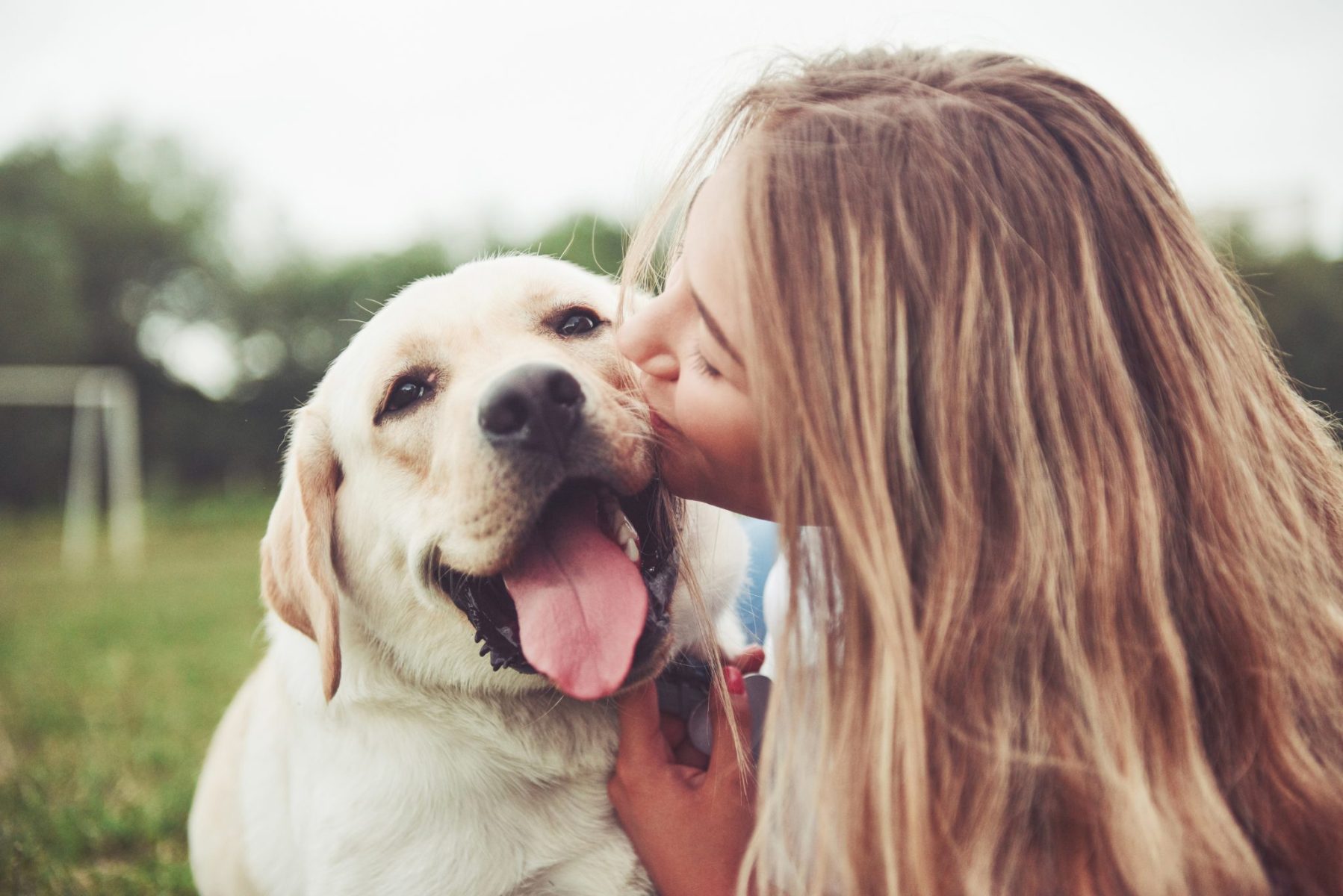 Reasons that Dogs Make Us Happier and Healthier